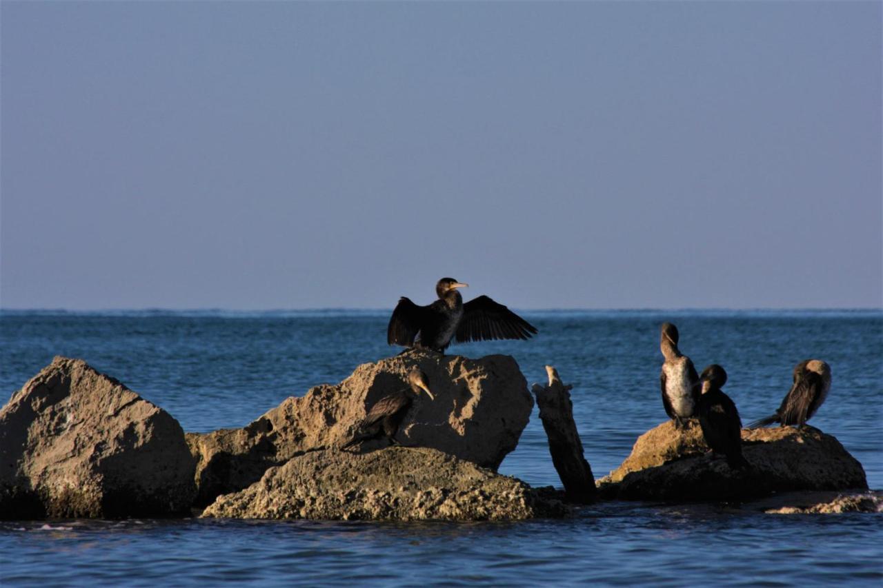 Aqua Boutique Hotel Castiglione della Pescaia Exteriér fotografie